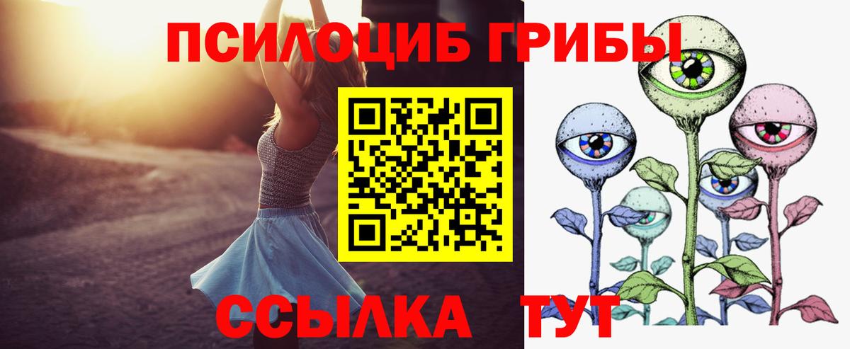 Куйбышев  Галлюциногенные грибы Psilocybine cubensis  Псилоцибиновые грибы Magic Shrooms  Вход с VPN 