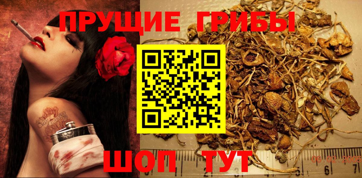 Галлюциногенные грибы прущие грибы Куйбышев